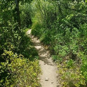 Meet your Posher, Christan